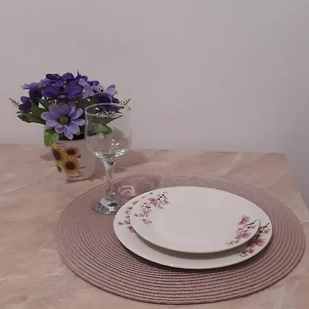 Apartment Garsoniera Marleny *