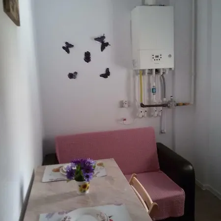 Garsoniera Marleny Năvodari